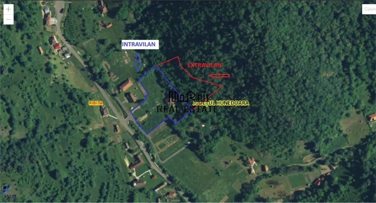 Teren, padure si casa in Dumbrava de Jos, jud. Hunedoara - foto 17