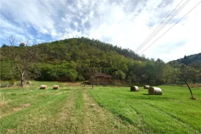 Teren, padure si casa in Dumbrava de Jos, jud. Hunedoara - foto 19