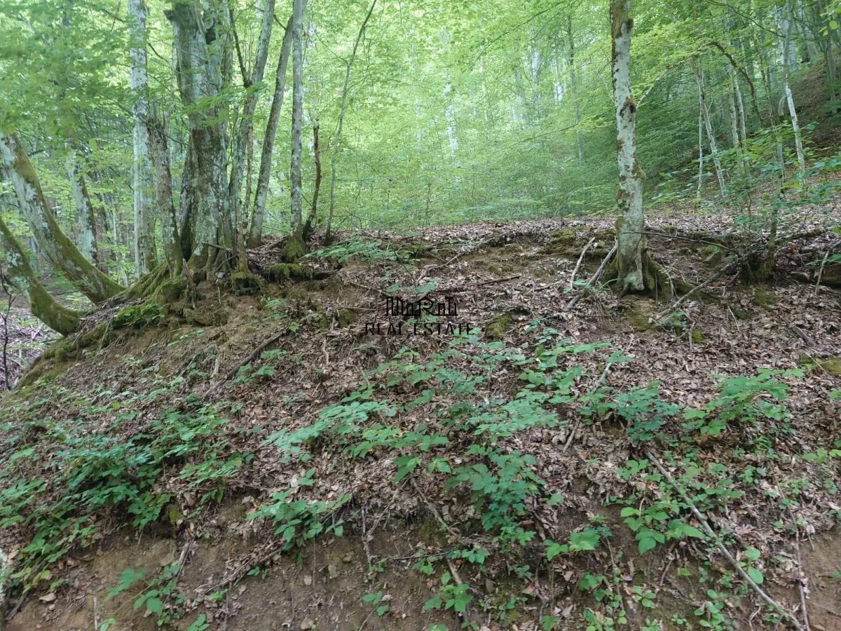 Teren in Bulzestii de Sus 1632mp - foto 2