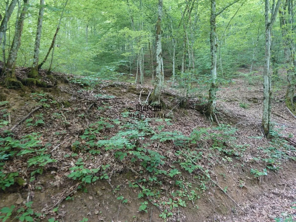 Teren in Bulzestii de Sus 1632mp - foto 3