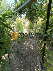 Casa tip parter zona Spiru Haret - foto 14