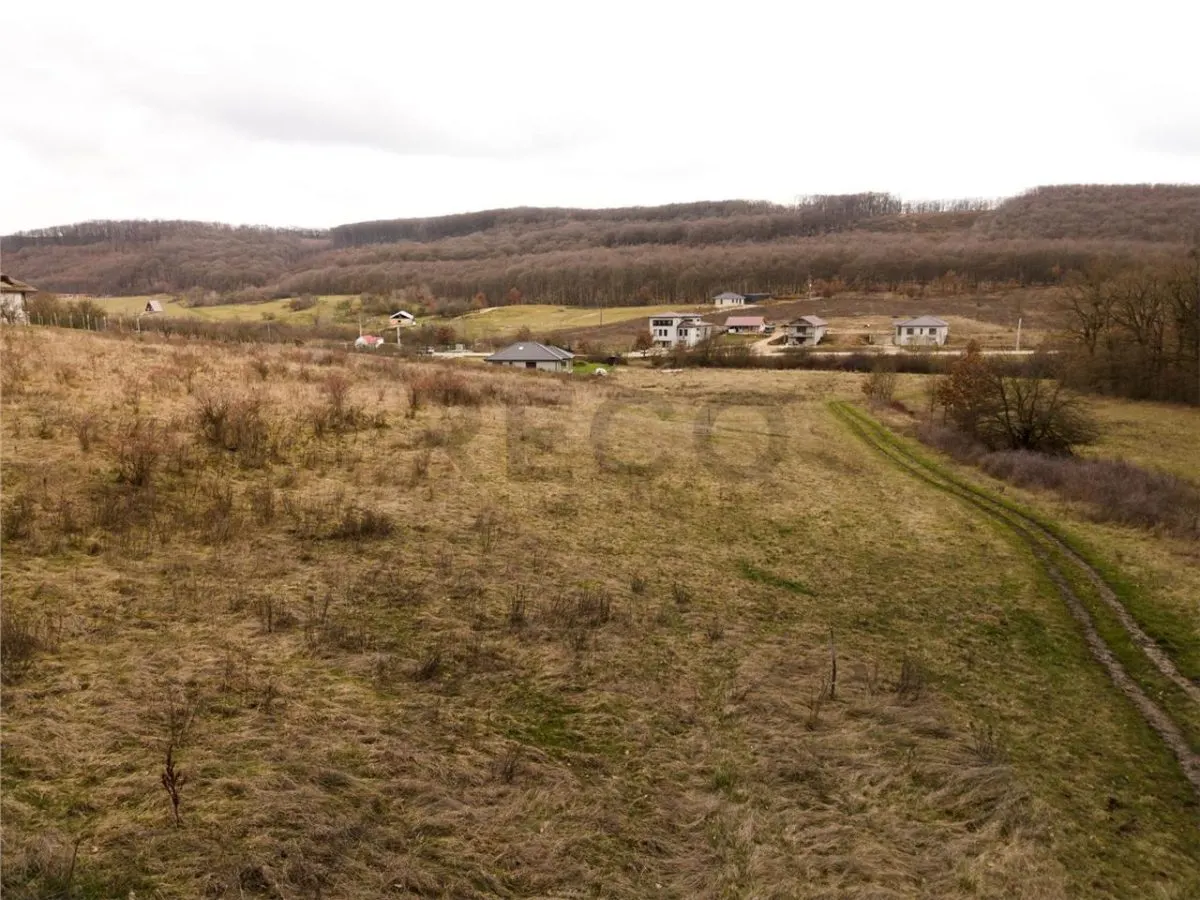 RECO teren intravilan Betfia â€“ ideal pentru casa sau investitie - foto 7