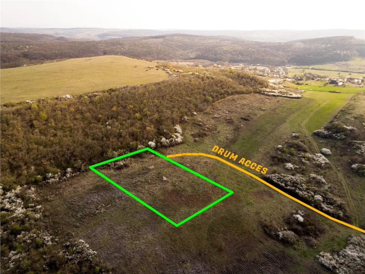 RECO Teren exclusivist 1800 mp in Betfia â€“ panorama superba - foto 3