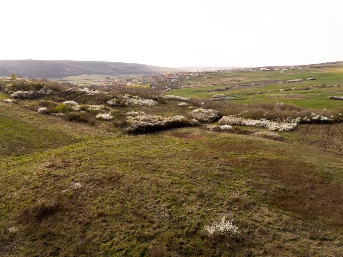 RECO Teren exclusivist 1800 mp in Betfia â€“ panorama superba - foto 5