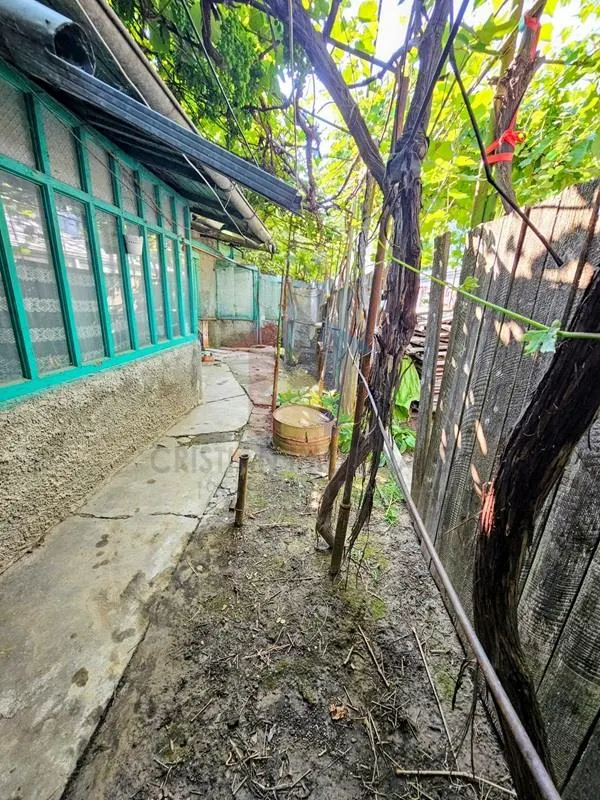 Teren 246 mp+Casa batraneasca Spit.Judetean Radu Negru - Buzaului - foto 1