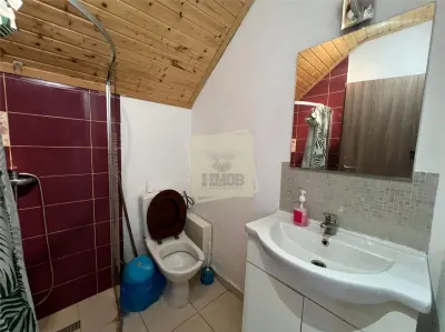 Casa  260 mpu 7 camere 5 bai filigorie teren 500 mp Selimbar - foto 22
