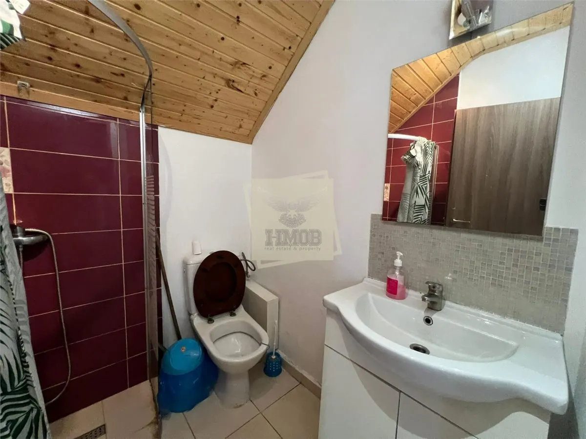Casa  260 mpu 7 camere 5 bai filigorie teren 500 mp Selimbar - foto 22