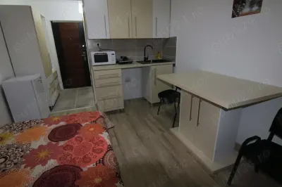 LIPOVEI - AP. 1 CAMERA - mobilat, utilat, bloc cu acoperis - foto 2