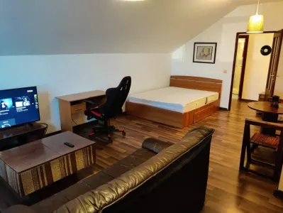 Apartament 1 camera CENTRU/COPOU -350 EURO - Iasi