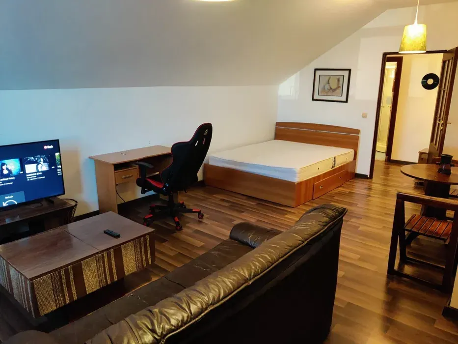 Apartament 1 camera CENTRU/COPOU -350 EURO - foto 1
