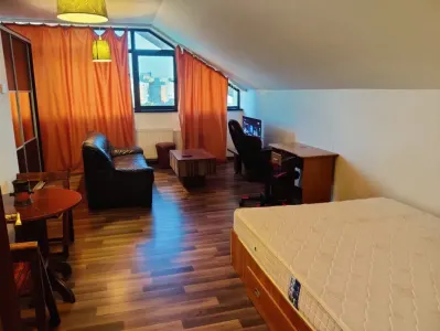 Apartament 1 camera CENTRU/COPOU -350 EURO - foto 3