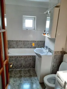 Inchiriere Apartament 2 camere zona Gheorghe Doja - foto 8