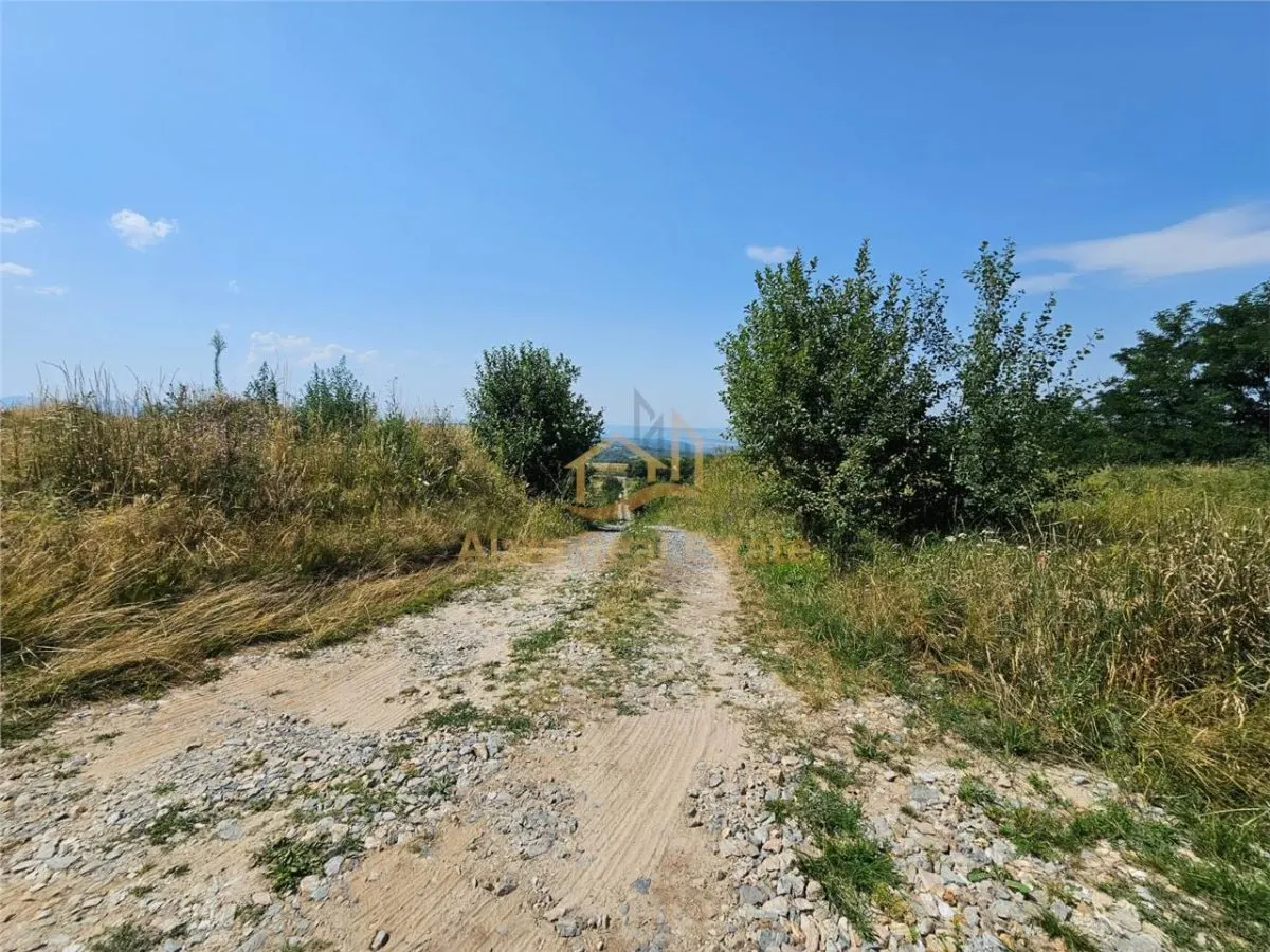 Alzza Real Estate â€“ Teren intravilan de vanzare in Salicea, Cluj â€“ 1170 mp cu PUZ aprobat - foto 2