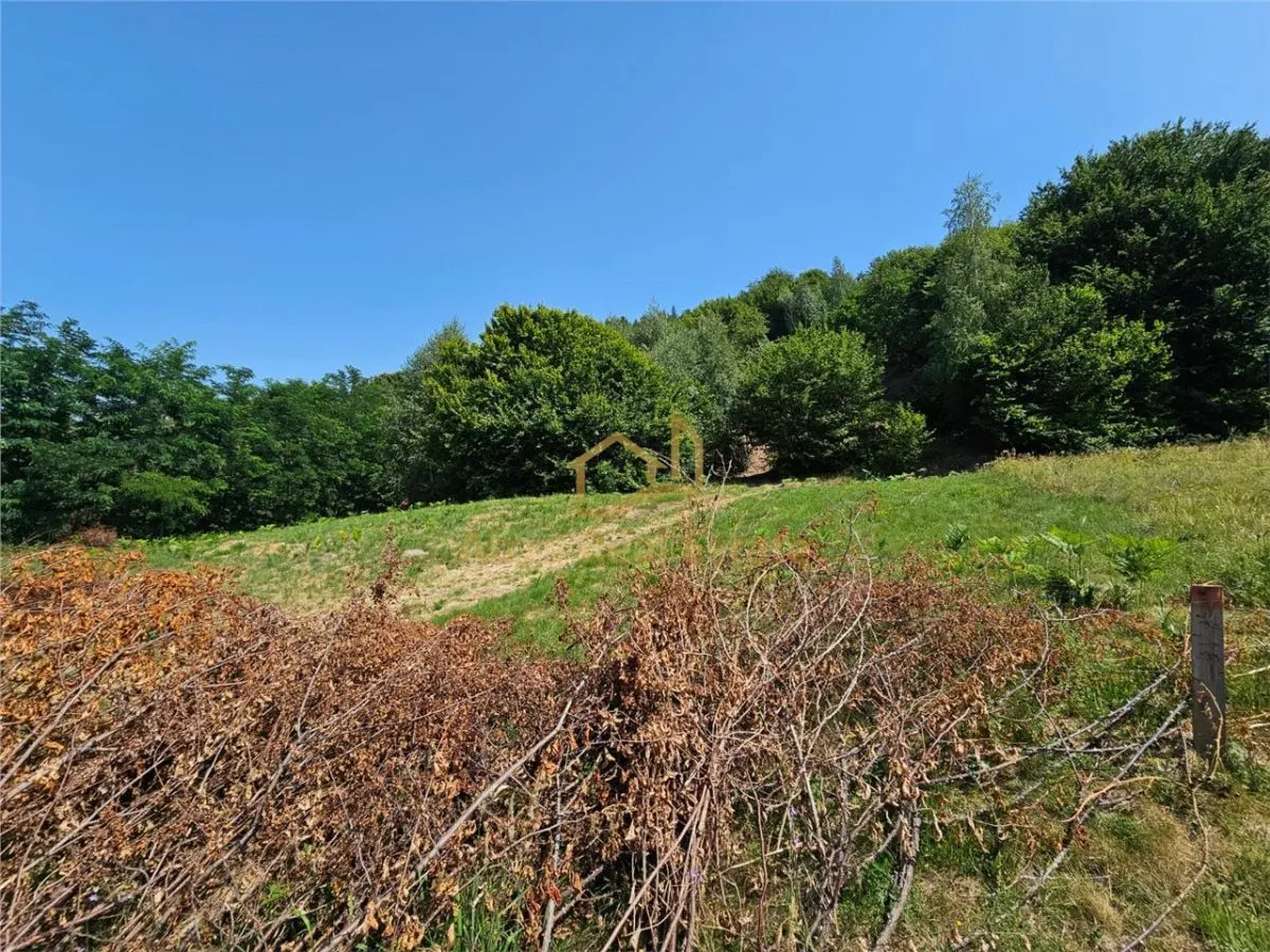 Alzza Real Estate â€“ Teren intravilan de vanzare in Salicea, Cluj â€“ 1170 mp cu PUZ aprobat - foto 3