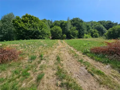 Alzza Real Estate â€“ Teren intravilan de vanzare in Salicea, Cluj â€“ 1170 mp cu PUZ aprobat - foto 4