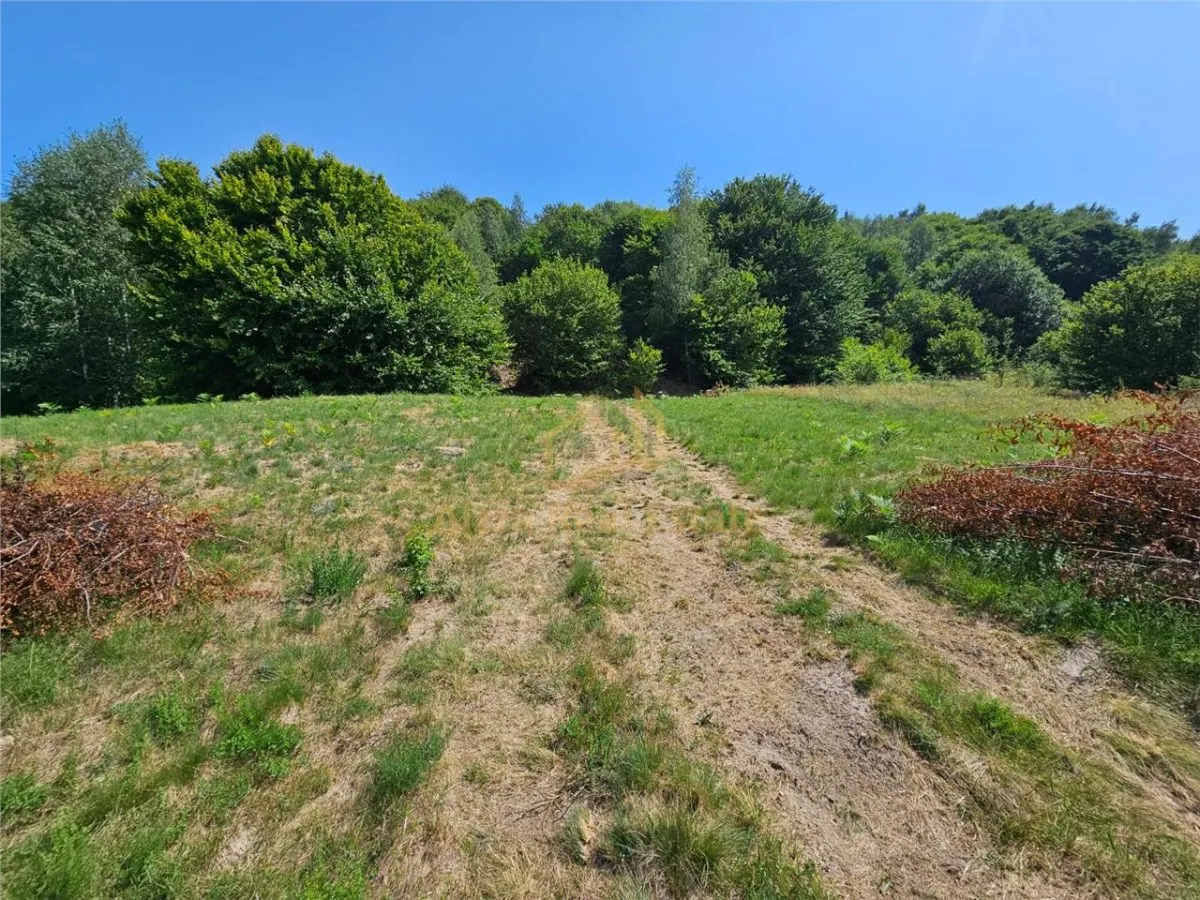 Alzza Real Estate â€“ Teren intravilan de vanzare in Salicea, Cluj â€“ 1170 mp cu PUZ aprobat - foto 4
