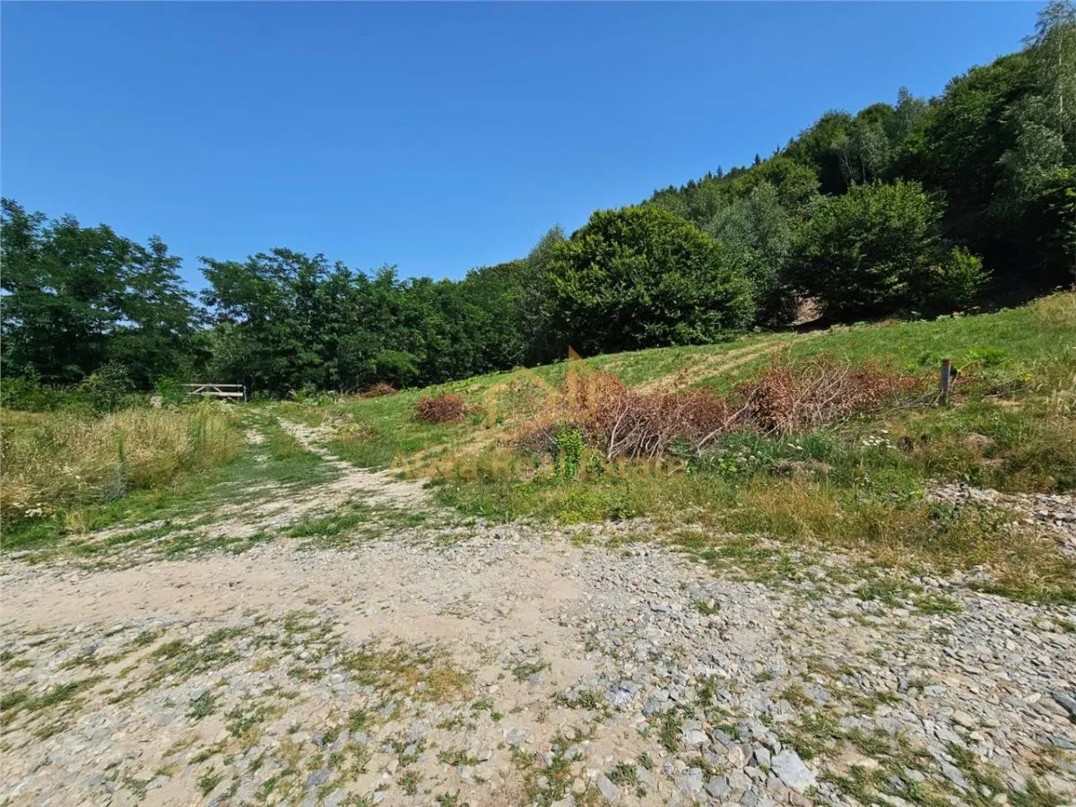 Alzza Real Estate â€“ Teren intravilan de vanzare in Salicea, Cluj â€“ 1170 mp cu PUZ aprobat - foto 5