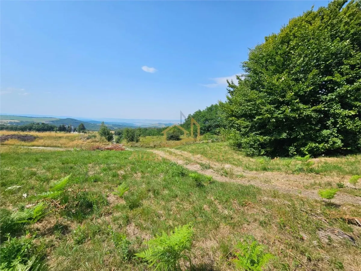 Alzza Real Estate â€“ Teren intravilan de vanzare in Salicea, Cluj â€“ 1170 mp cu PUZ aprobat - foto 6