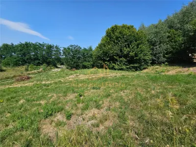 Alzza Real Estate â€“ Teren intravilan de vanzare in Salicea, Cluj â€“ 1170 mp cu PUZ aprobat - foto 7
