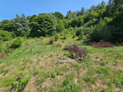 Alzza Real Estate â€“ Teren intravilan de vanzare in Salicea, Cluj â€“ 1170 mp cu PUZ aprobat - foto 8