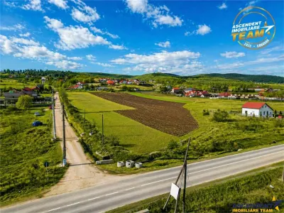Proprietate remarcabila: 32.000mp teren, acces direct DJ112,Ilieni,Covasna - foto 6
