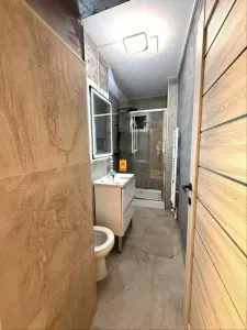 Inchiriere apartament  2 camere zona Vest - foto 7