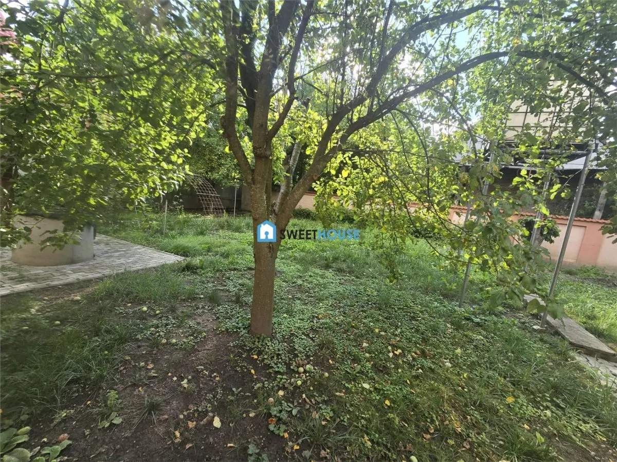 Oportunitate de investitie  2 case  in aceeasi curte Fagaras Zona Centrala - foto 6