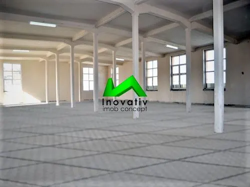 Hale de inchiriat depozitare productie Sibiu Cisnadie - foto 6