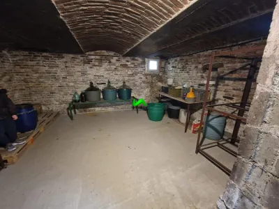Casa de vanzare  Cristian Sibiu - foto 11