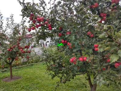 Casa de vanzare 5 camere Sibiu Sura Mare - foto 10
