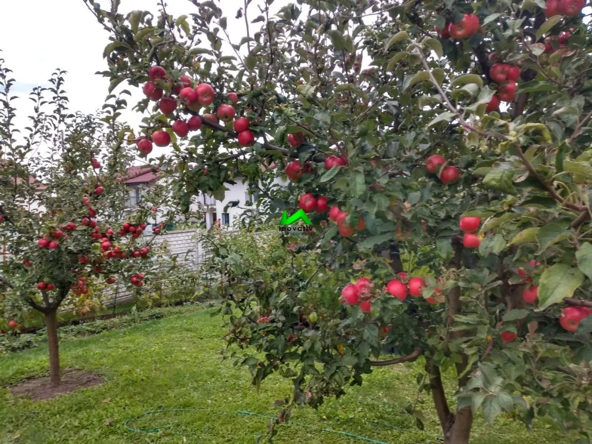 Casa de vanzare 5 camere Sibiu Sura Mare - foto 10