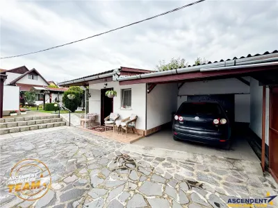 FILM & 3D! Intre traditie si modern, un camin cu personalitate - foto 3