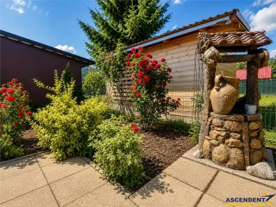 Refugiu pretios:jacuzzi, lemn masiv,2.000 mp teren,4 dormitoare, cuptor, investitie turistica - foto 10