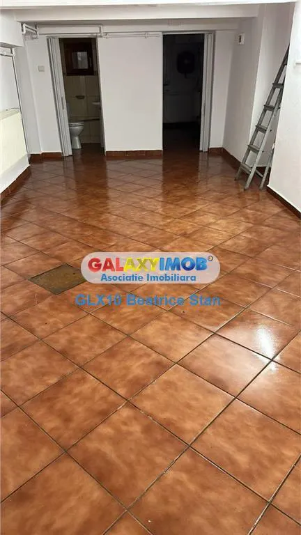 Casa demisol si parter complet renovata ideala birouri PARCUL CAROL - foto 8