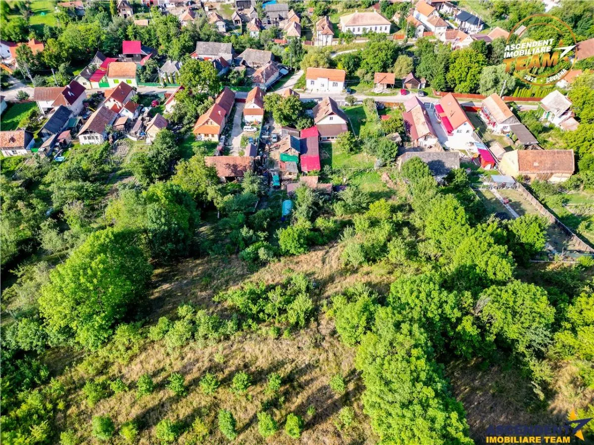 FILM!Areal apreciabil,casa+domeniu de 3.500mp,Sancraiu, aria Sfantu Gheorghe :  Brasov - foto 19