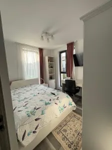 Casa individuala,mobilata si utilata complet, Bucium-Visan,400mp teren - foto 6