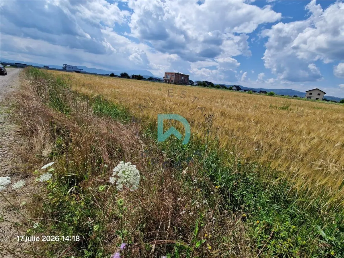 Teren intravilan de vanzare, 1000 mp  Cristian - foto 7