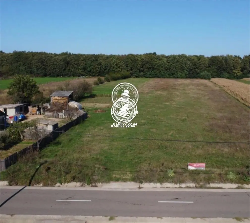 Teren langa padure - de vanzare in Poiana cu Cetate - foto 1
