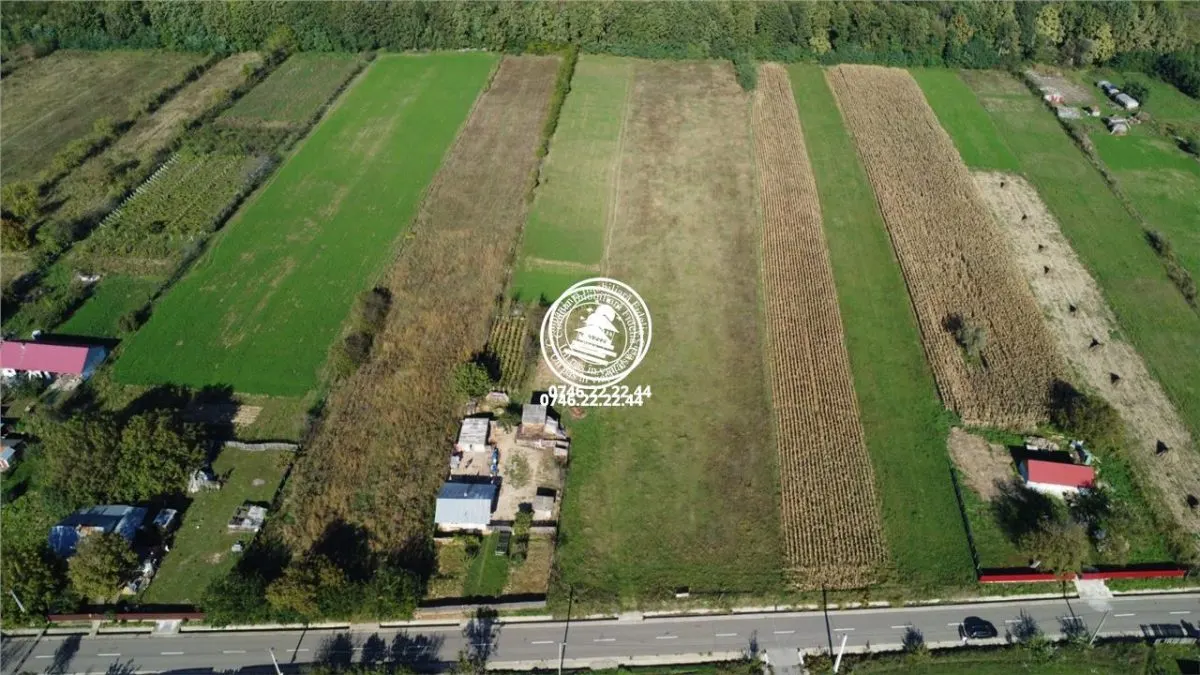 Teren langa padure - de vanzare in Poiana cu Cetate - foto 4