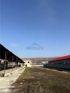 Pretabil Afacere Jumatate de Hectar cu mai multe Hale - foto 3
