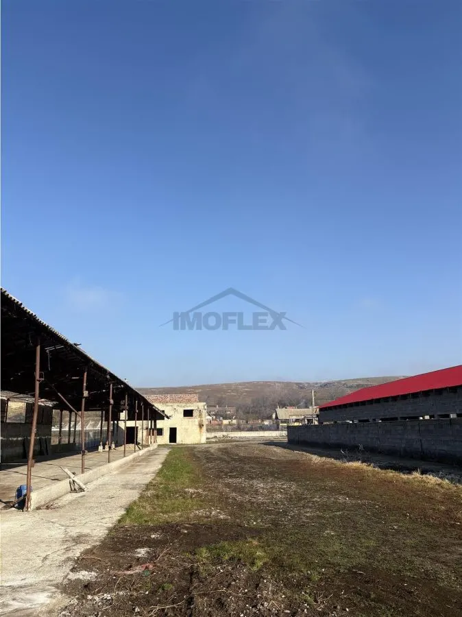 Pretabil Afacere Jumatate de Hectar cu mai multe Hale - foto 3