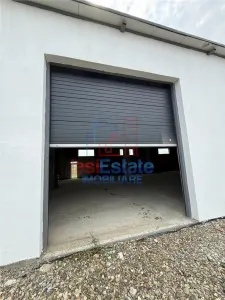 Hala productie - depozitare zona Letcani - foto 3
