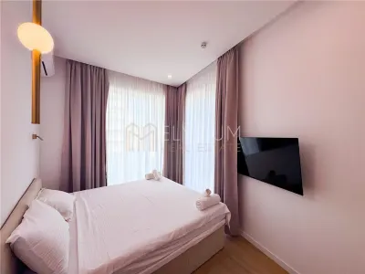 Apartament de inchiriat 2 camere Stefan cel Mare Complex Central - foto 12