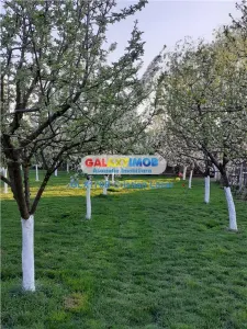 SABIESTI-RACARI- 45 min de Bucuresti - foto 5