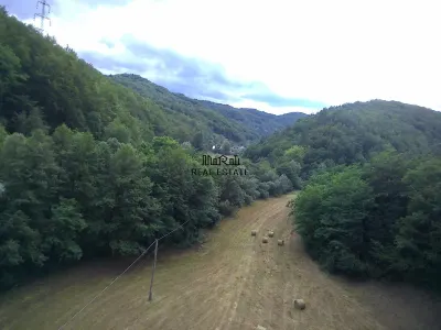 Un colt de natura intre padure si parau - foto 12