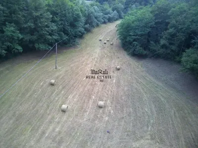 Un colt de natura intre padure si parau - foto 14
