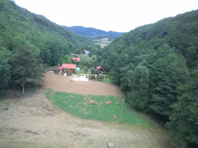 Un colt de natura intre padure si parau - foto 15