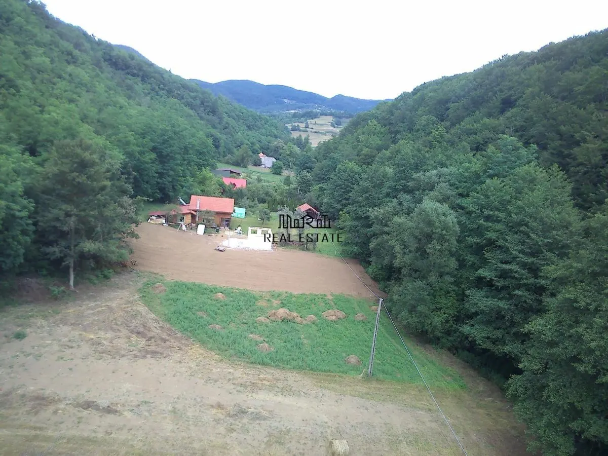 Un colt de natura intre padure si parau - foto 15