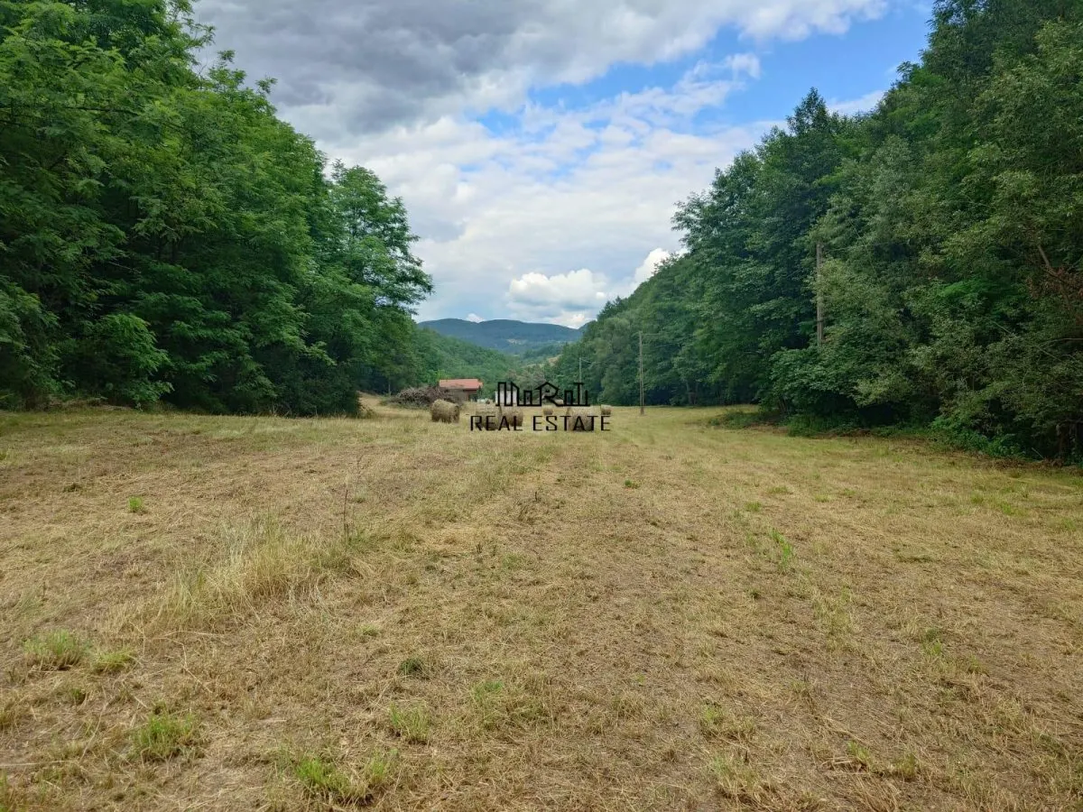 Un colt de natura intre padure si parau - foto 3