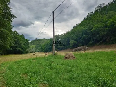 Un colt de natura intre padure si parau - foto 5